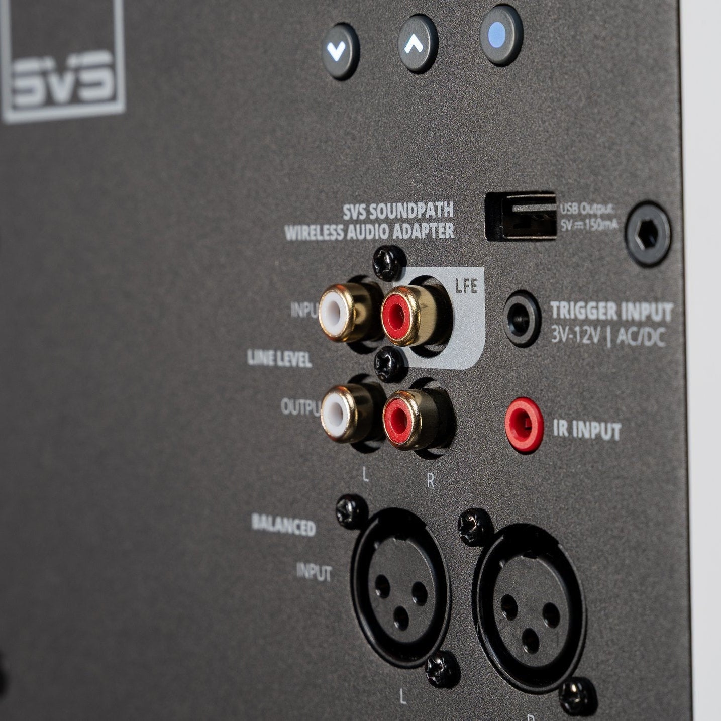 SVS 3000 Micro R|Evolution Series Subwoofer