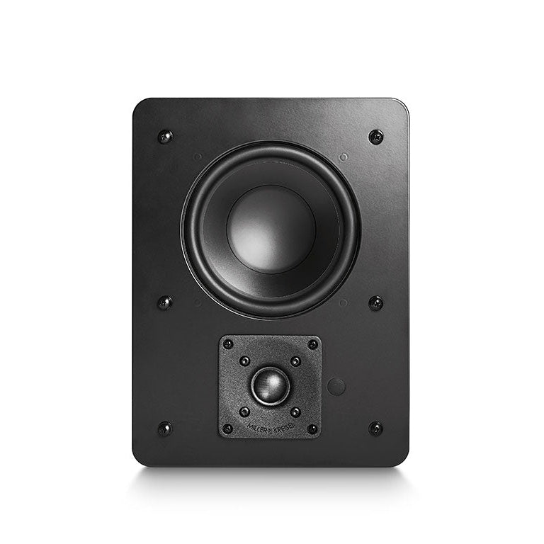 IW95 In-Wall Speaker