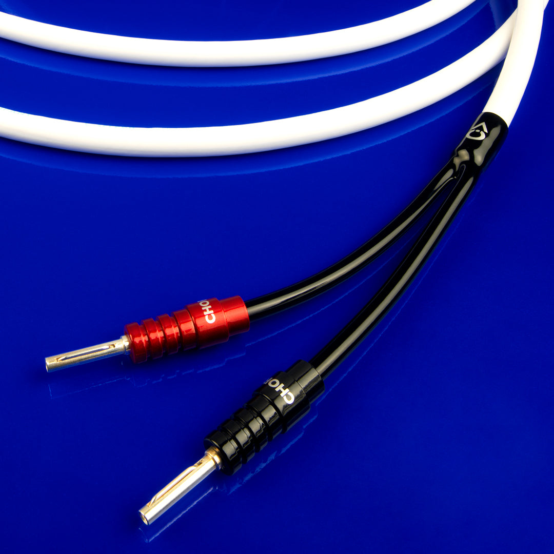 C-ScreenX Speaker Cable