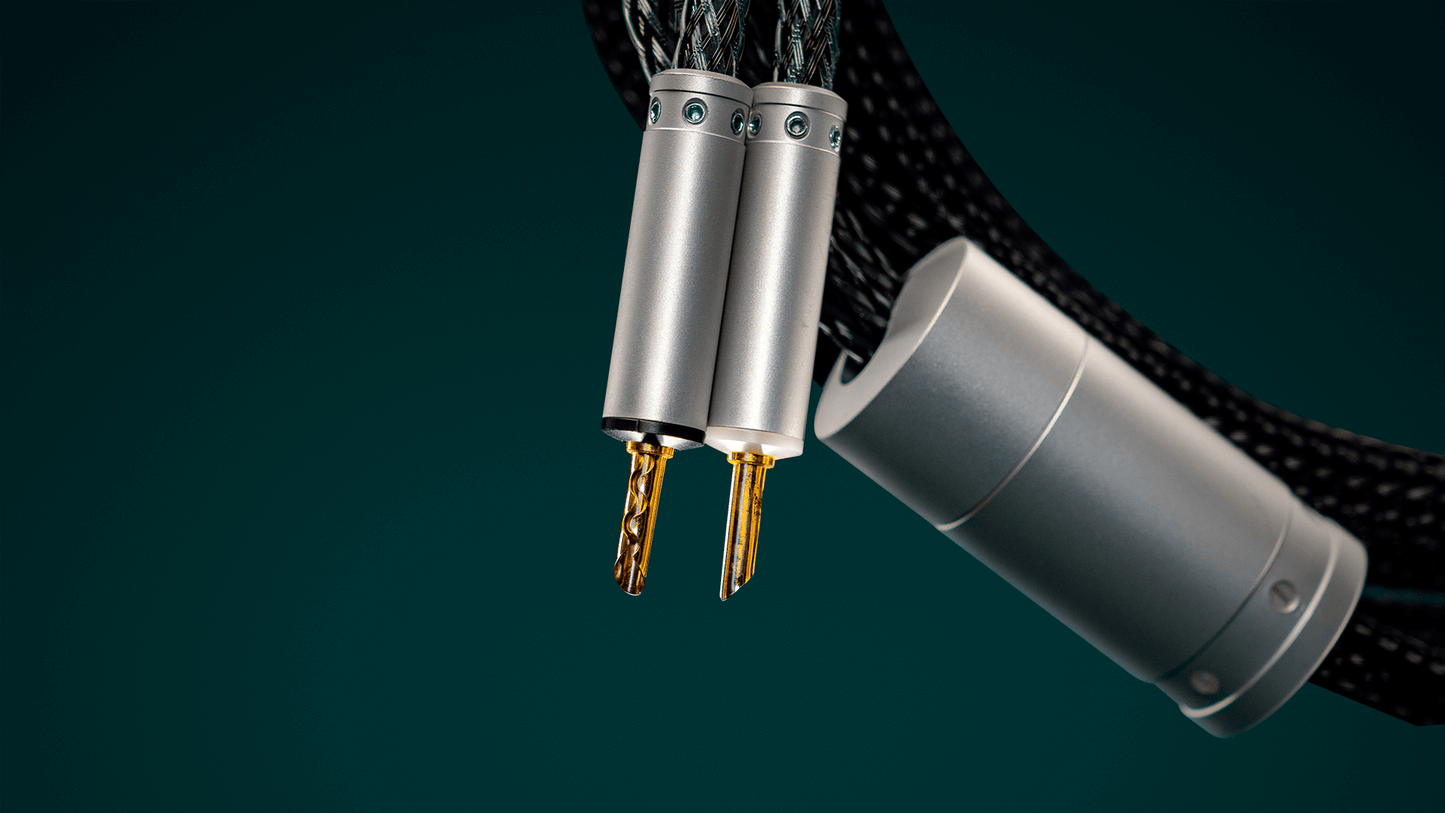 स्पीक्ज़ पी2 स्पीकर केबल्स 2एम