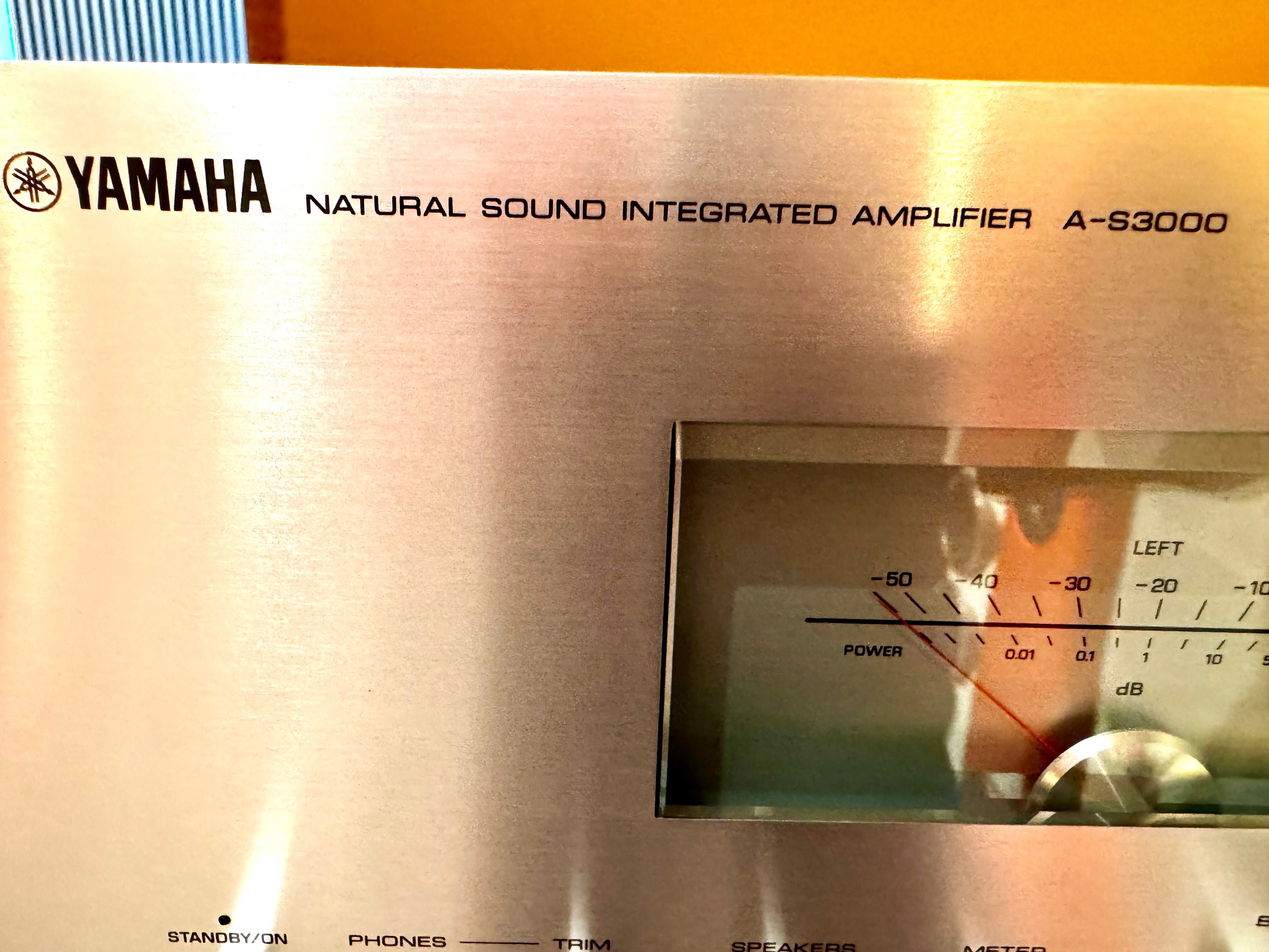 A-S3000 - Silver (Ex Demonstration)