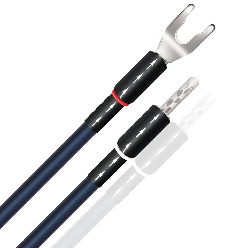 Oasis® 10 Biwire Jumpers (Set of 4)