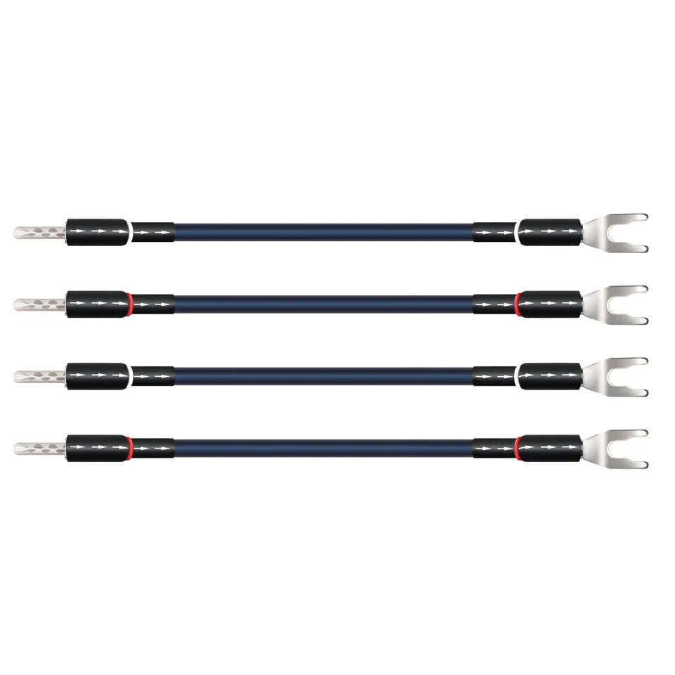 Oasis® 10 Biwire Jumpers (Set of 4)
