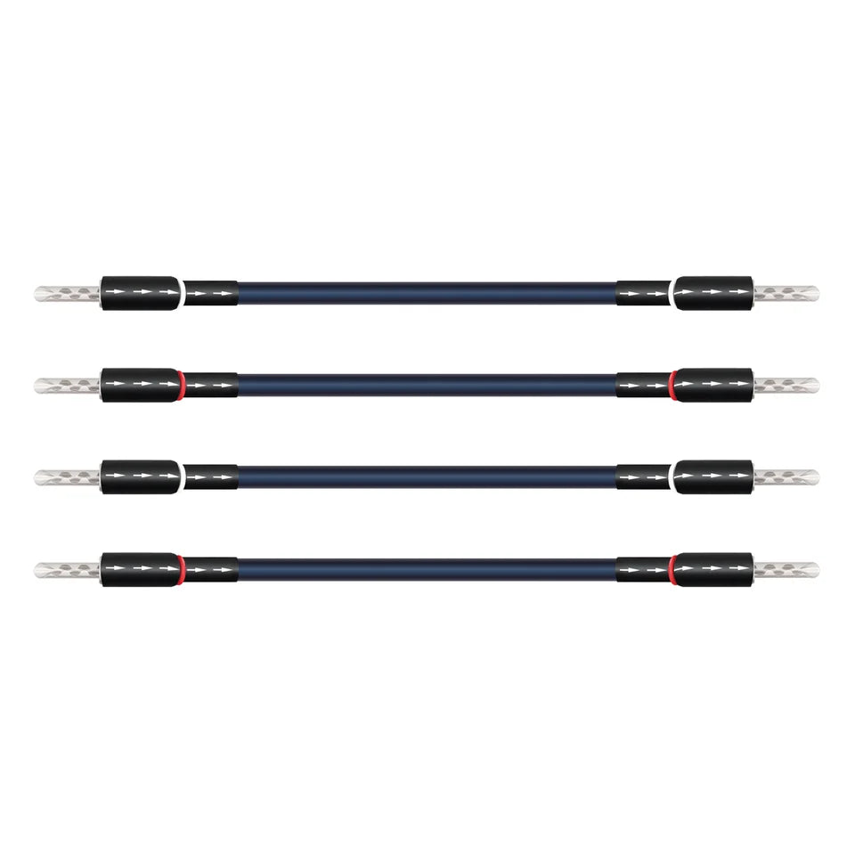 Oasis® 10 Biwire Jumpers (Set of 4)