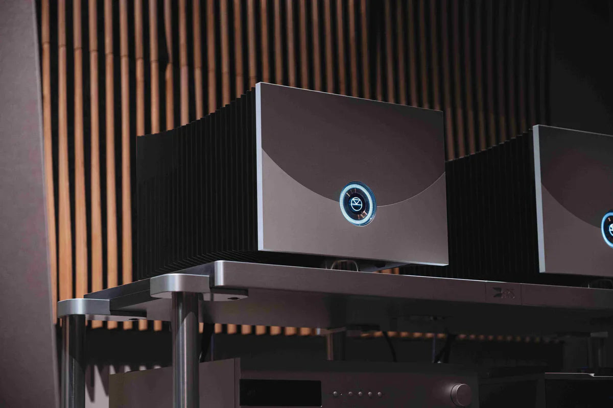 Linn Klimax Solo 800 Mono Amplifier