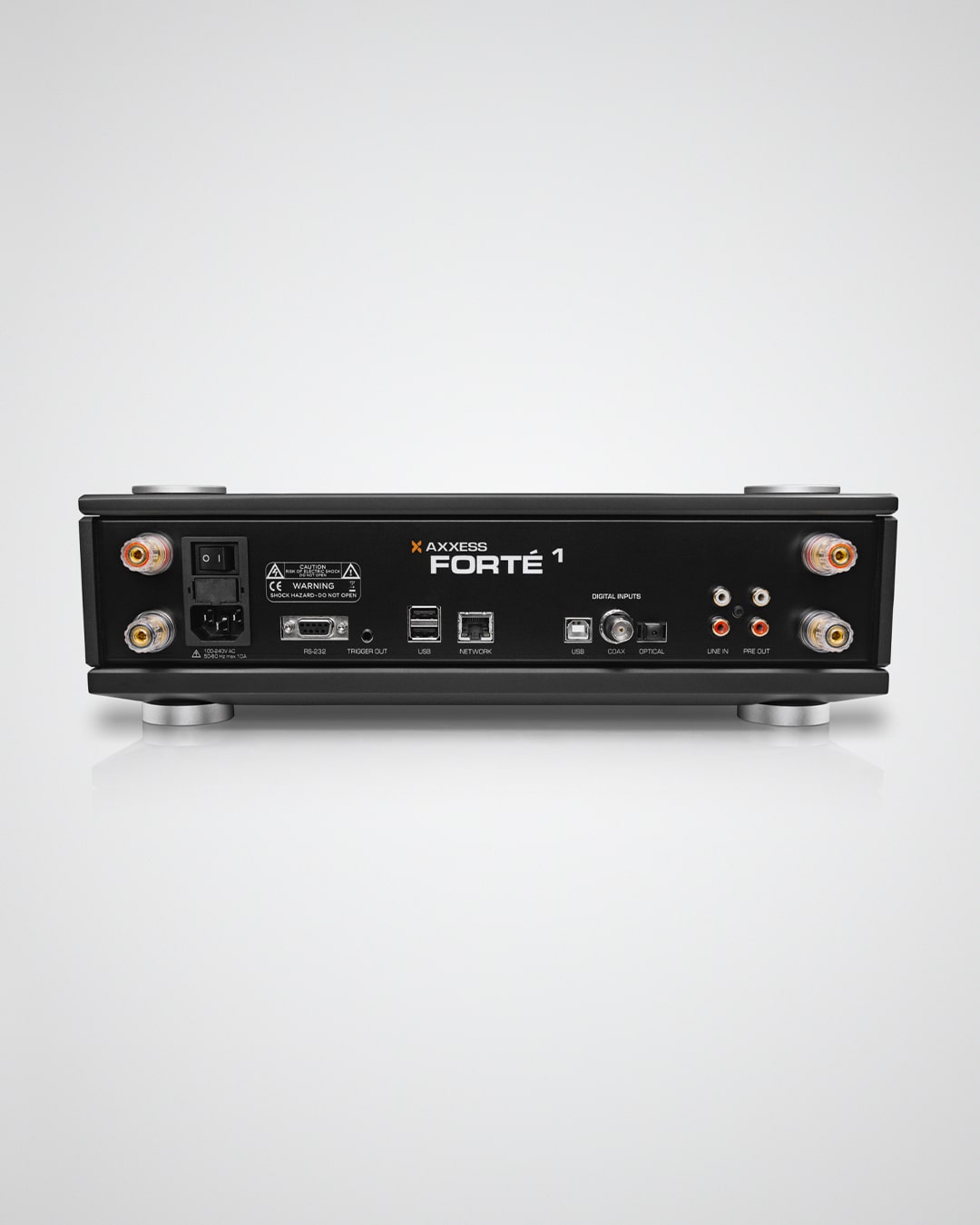 Axxess Forte 1 स्ट्रीमिंग एम्पलीफायर 
