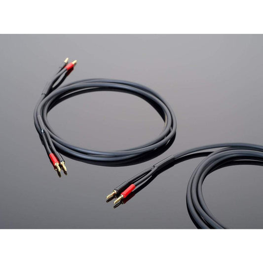 Hardwired Speaker Cable